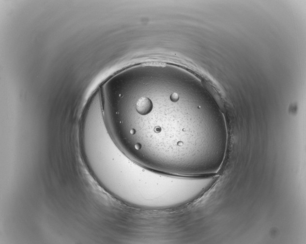 X0000094211514200711021104