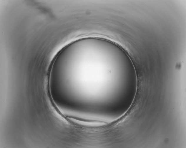 X0000094211518200711021104