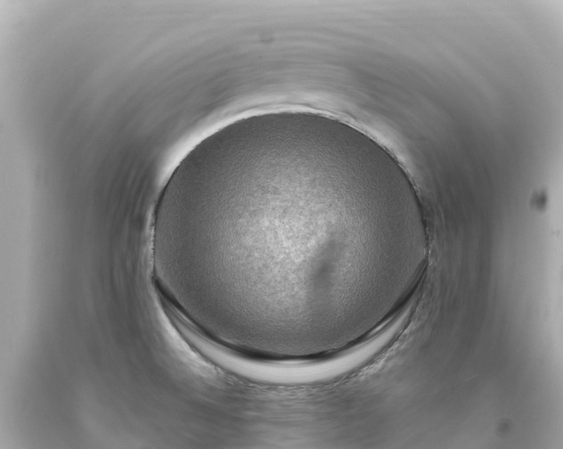 X0000094211524200711021104