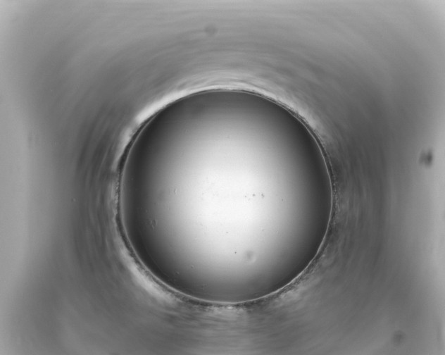 X0000094211526200711021104