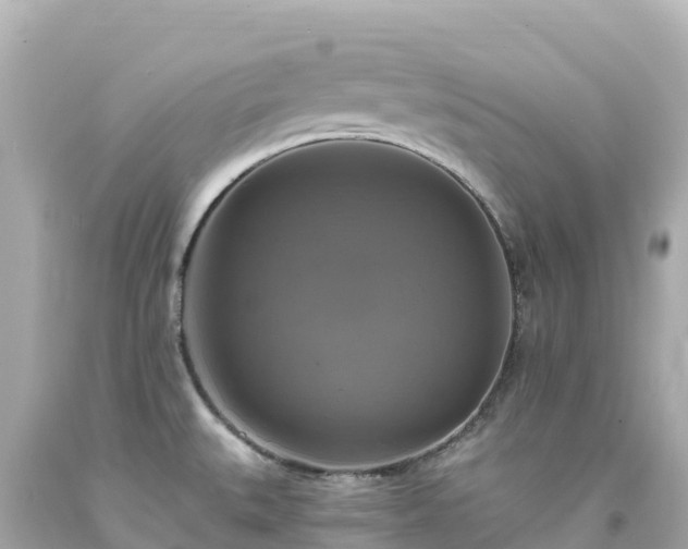 X0000094211527200711021104