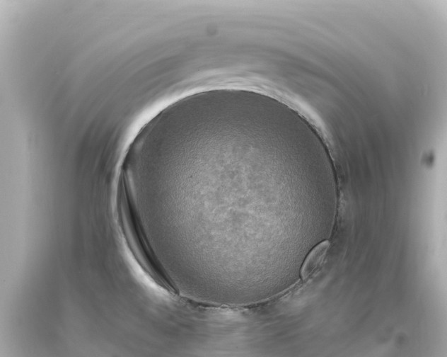 X0000094211528200711021104