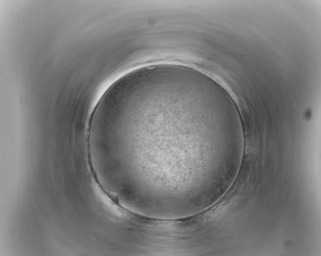 X0000094211532200711021104