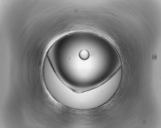 X0000094211536200711021104