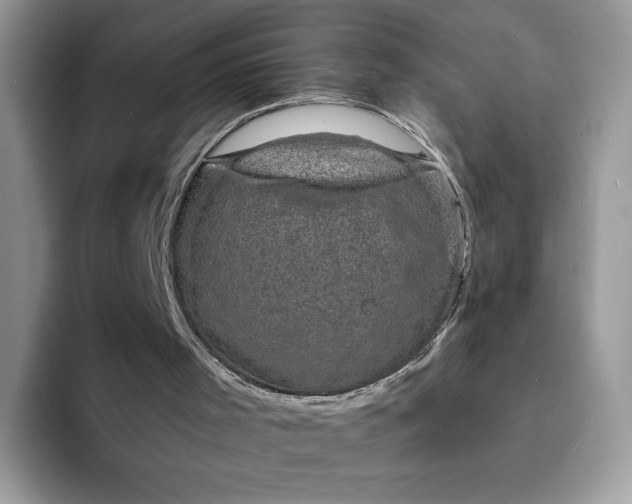 X0000094210001200711091246