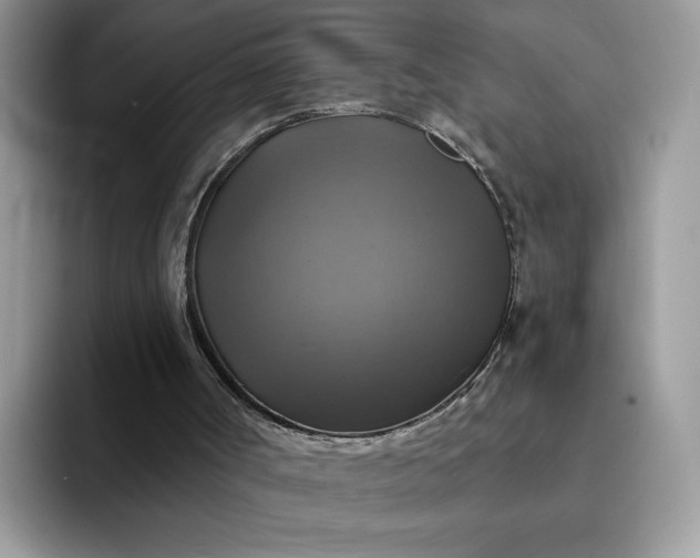 X0000094210002200711091246