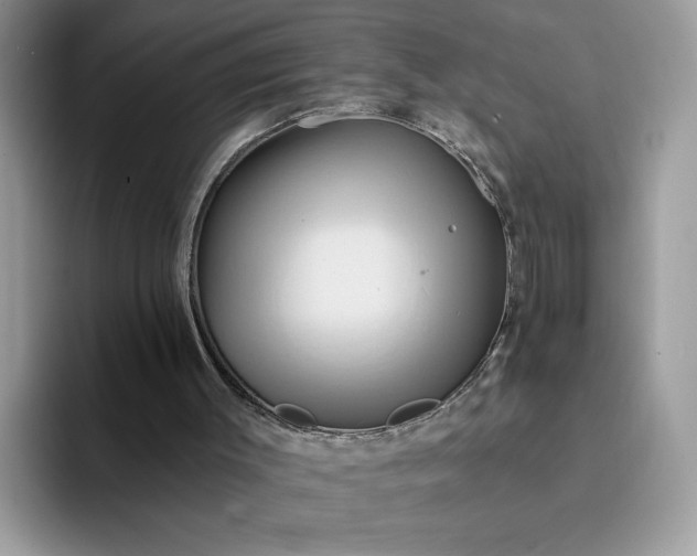 X0000094210003200711091246