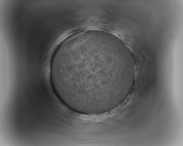X0000094210005200711091246