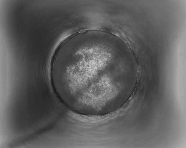 X0000094210006200711091246
