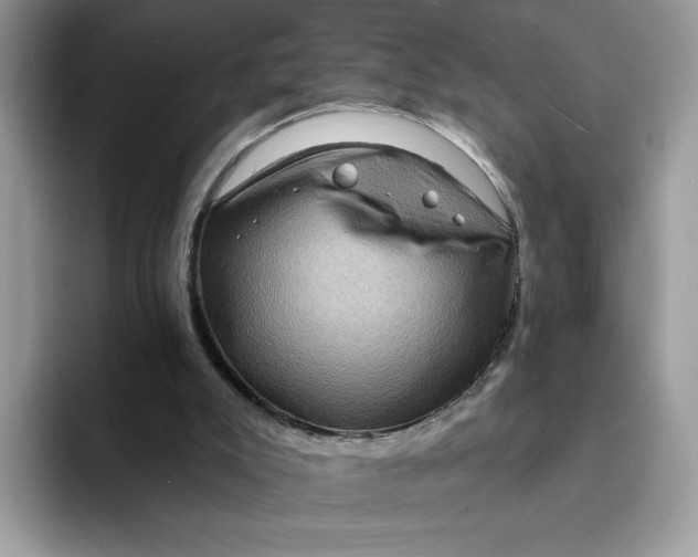 X0000094210007200711091246