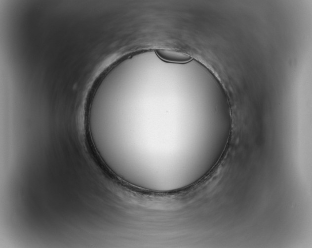 X0000094210008200711091246