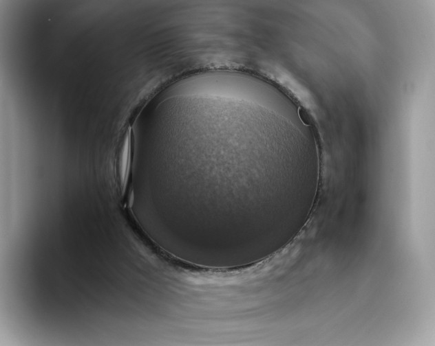 X0000094210009200711091246