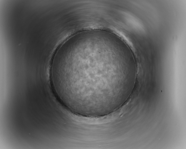 X0000094210010200711091246