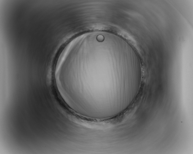 X0000094210012200711091246