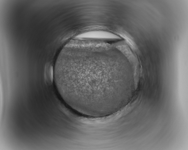 X0000094210013200711091246