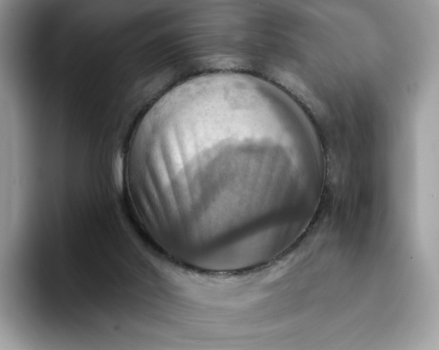 X0000094210014200711091246