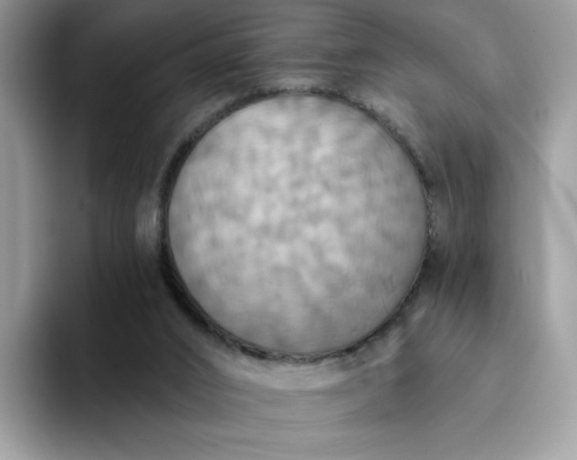 X0000094210016200711091246