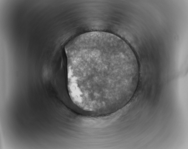 X0000094210017200711091246