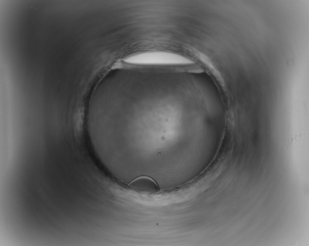 X0000094210018200711091246