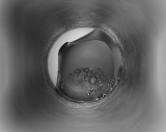 X0000094210019200711091246