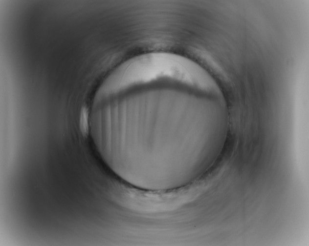 X0000094210022200711091246