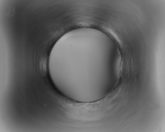 X0000094210023200711091246