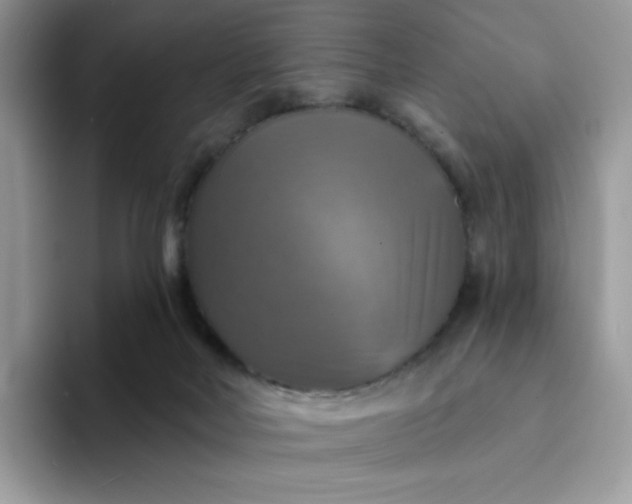 X0000094210026200711091246