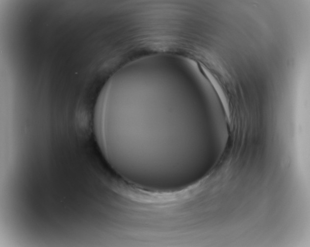 X0000094210031200711091246