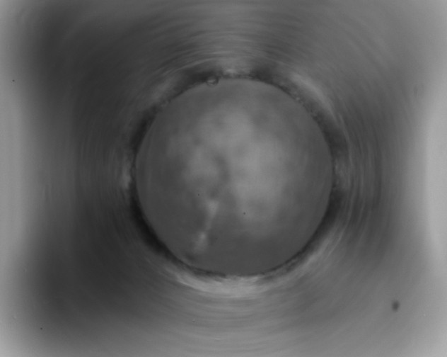 X0000094210032200711091246