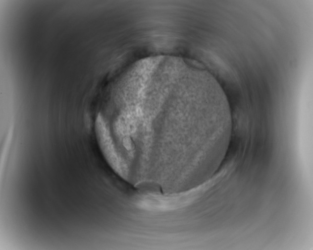 X0000094210033200711091246