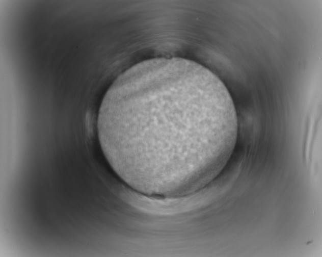 X0000094210038200711091246
