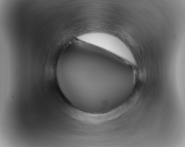 X0000094210039200711091246