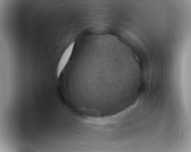 X0000094210041200711091246