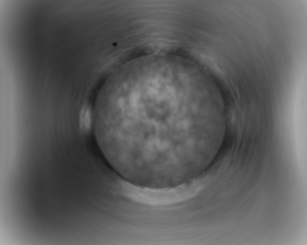 X0000094210042200711091246