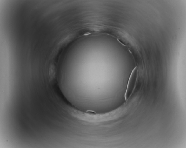 X0000094210043200711091246