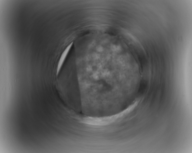 X0000094210045200711091245