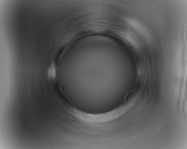 X0000094210046200711091245