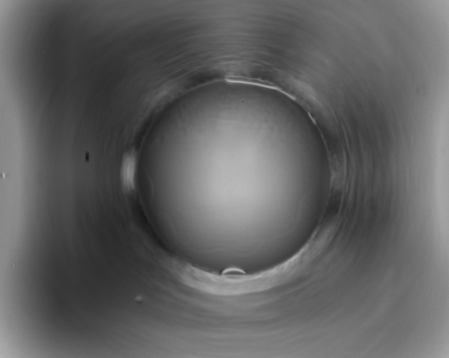X0000094210047200711091245