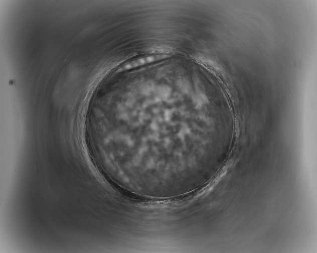 X0000094210049200711091245