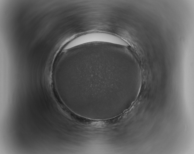 X0000094210050200711091245