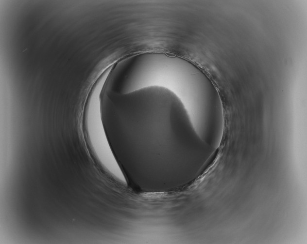 X0000094210051200711091245