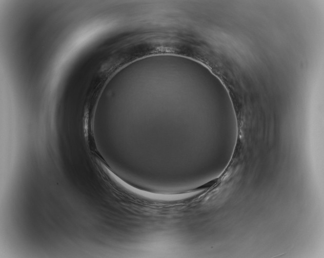 X0000094210052200711091245