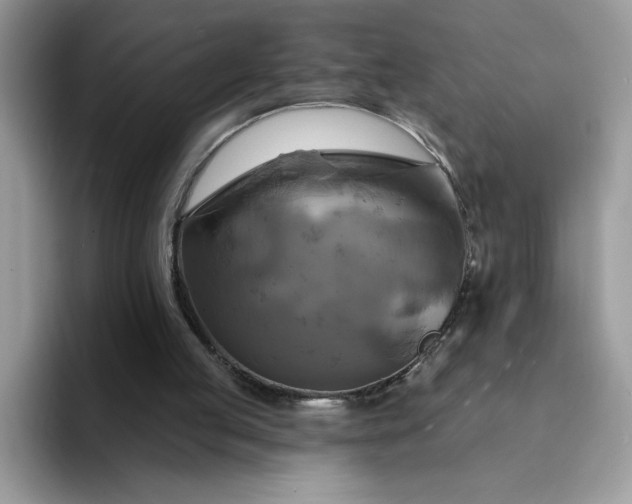 X0000094210053200711091245
