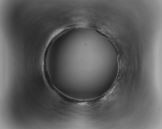 X0000094210054200711091245