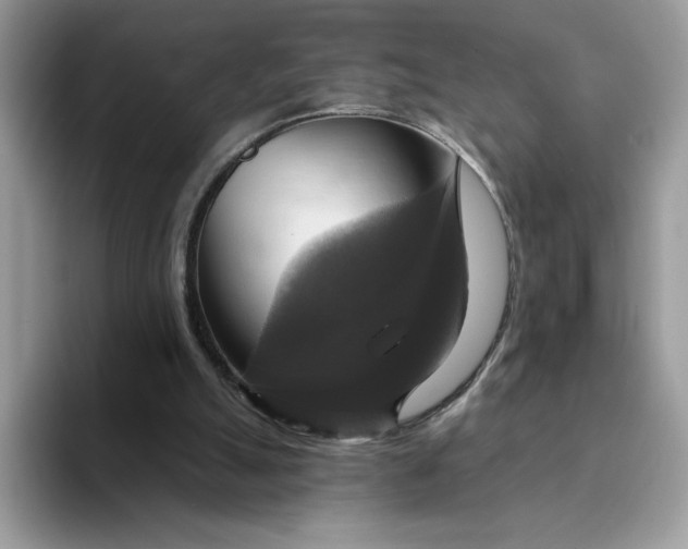 X0000094210055200711091245