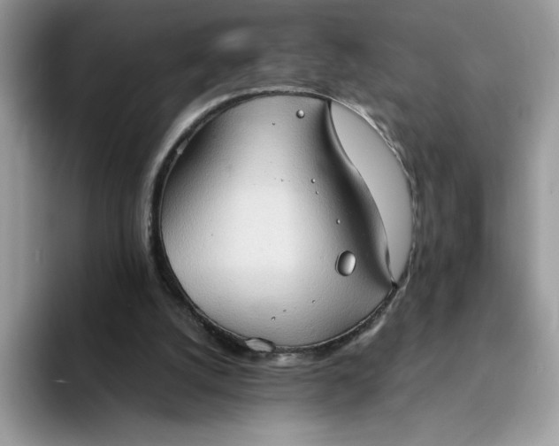 X0000094210056200711091245