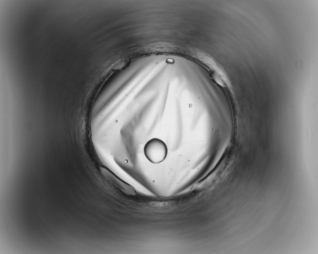 X0000094210057200711091245
