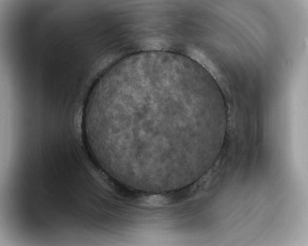 X0000094210058200711091245