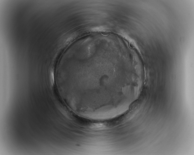 X0000094210061200711091245