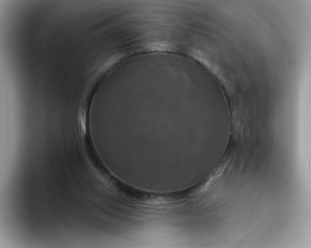 X0000094210062200711091245
